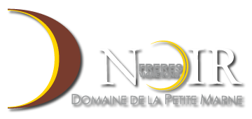 Logotype Noir Frères